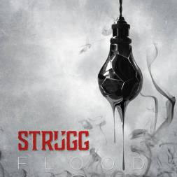 enregistrement groupe Strugg à Tours